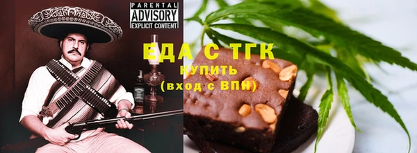 индика Ельня