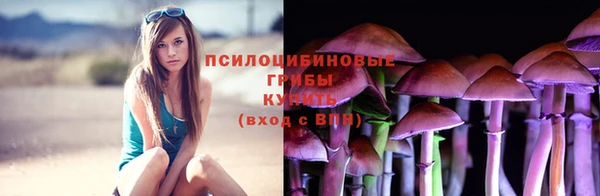 прущие крисы Карпинск