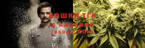 молекула духа Иннополис