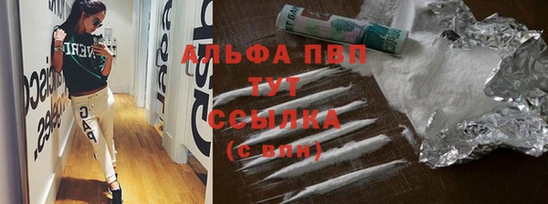 прущие крисы Карпинск